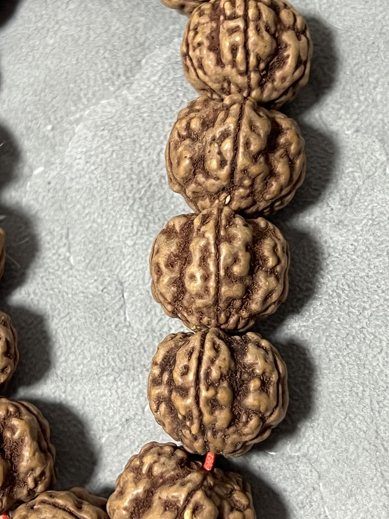 零元拍：超大超肉红皮帝王花金刚菩提手持，22左右