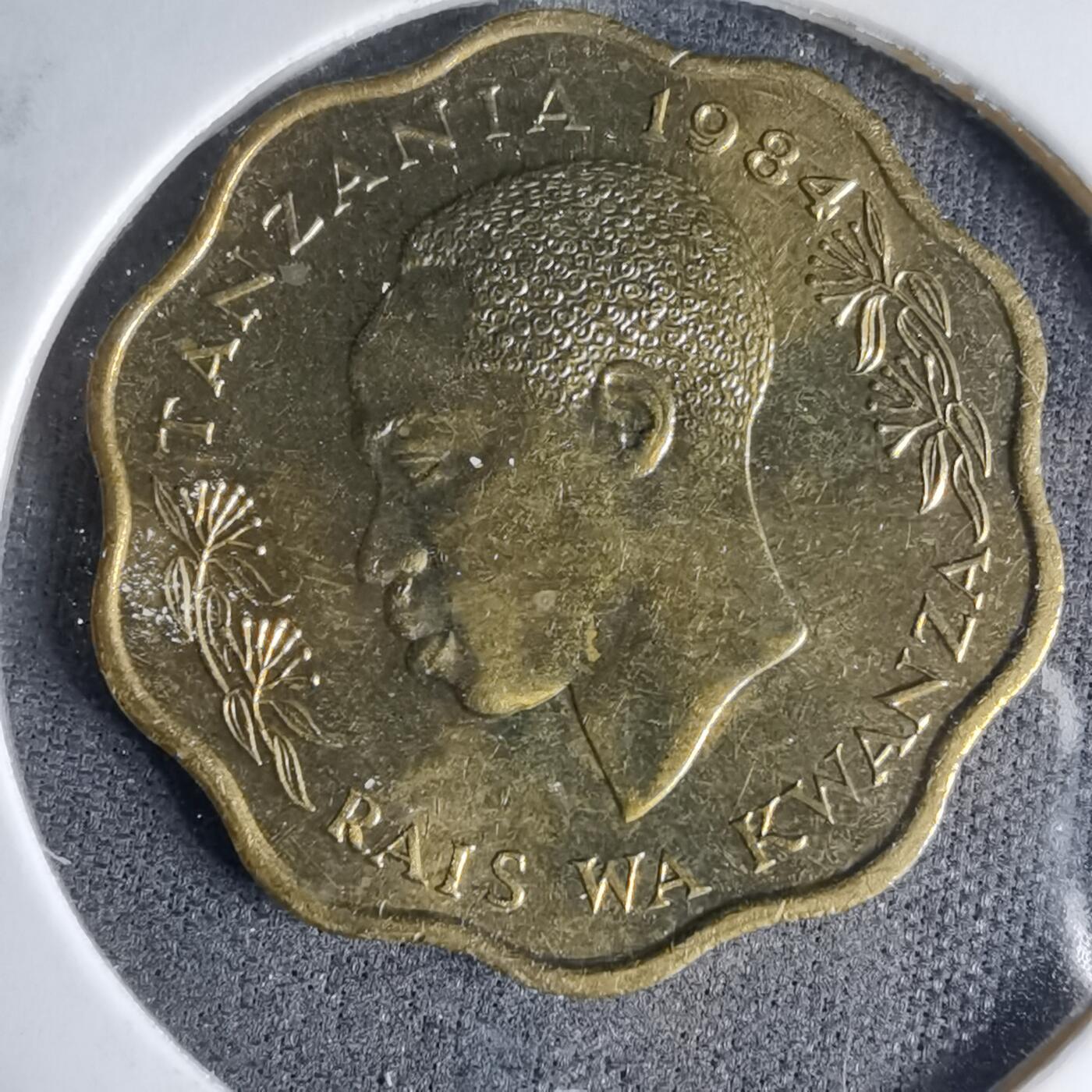 沼泽如烟--第997场