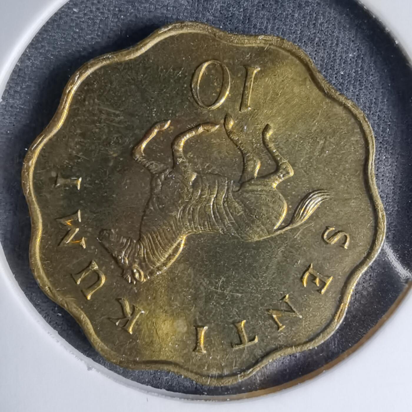 沼泽如烟--第997场