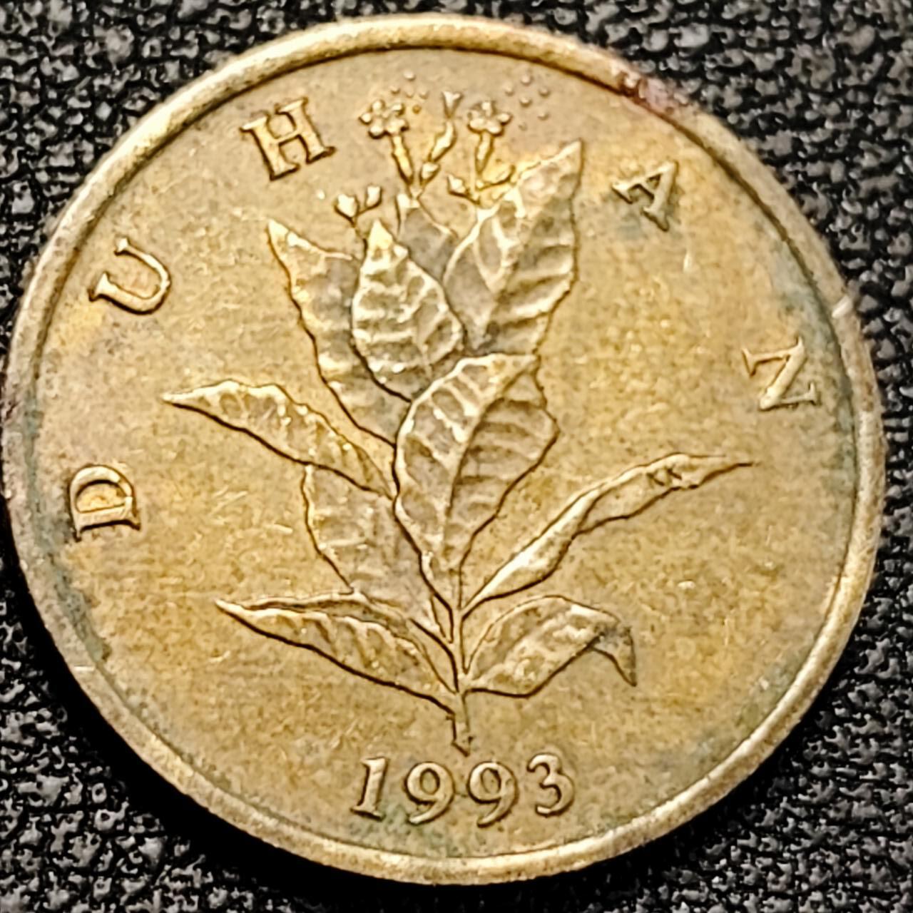 泉币菌-第190场-本场拍品多 请提前出价 （年后发货） 克罗地亚 1993年 10利帕 钢镀黄铜硬币 20mm 植物烟草 