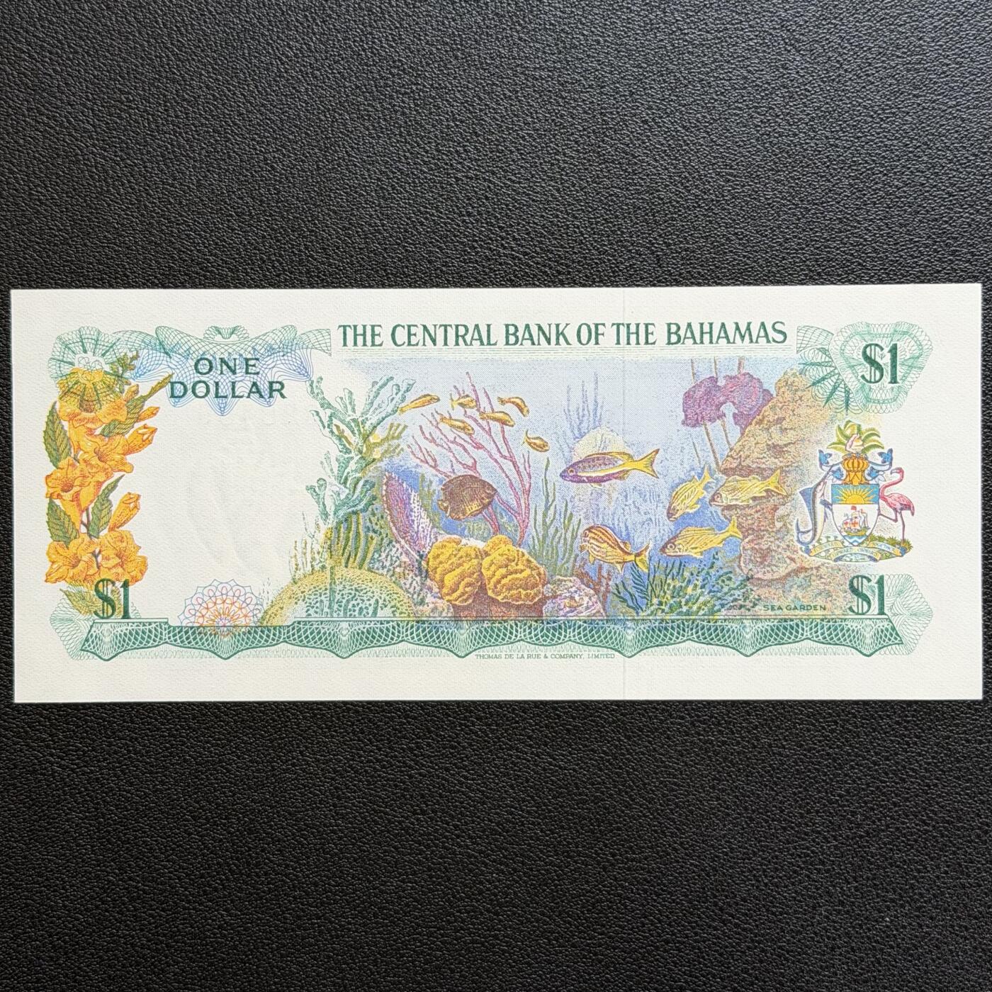 ＜星葵🌻钱币社＞非全新纸币场第70期·3月1日发货