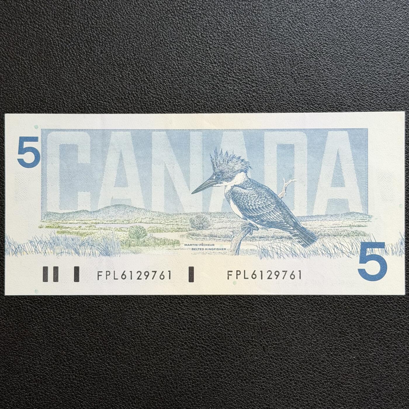 ＜星葵🌻钱币社＞非全新纸币场第70期·3月1日发货 加拿大1986年5元纸币