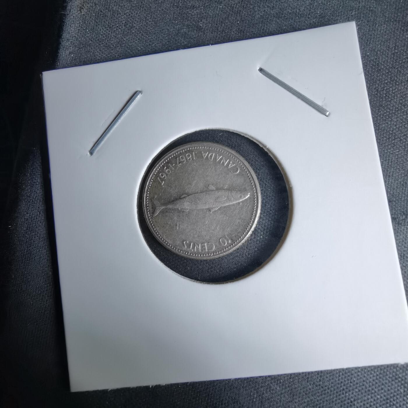 沼泽如烟--第997场