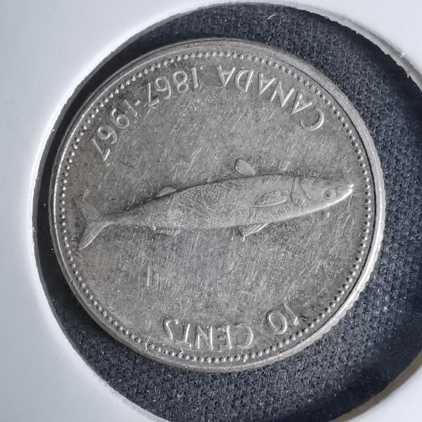 沼泽如烟--第997场