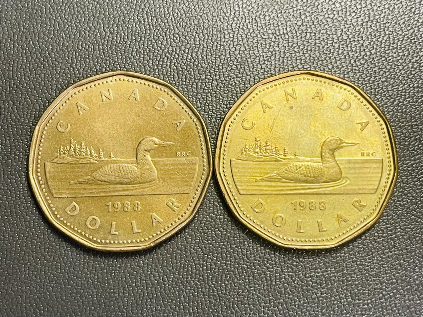 回流0301 加拿大1988年1元两枚 潜鸟