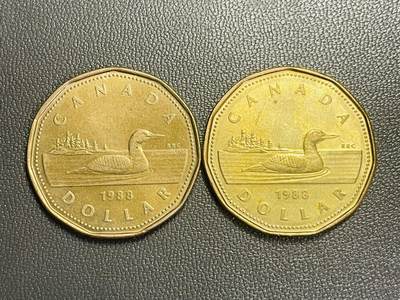 回流0301 - 加拿大1988年1元两枚 潜鸟