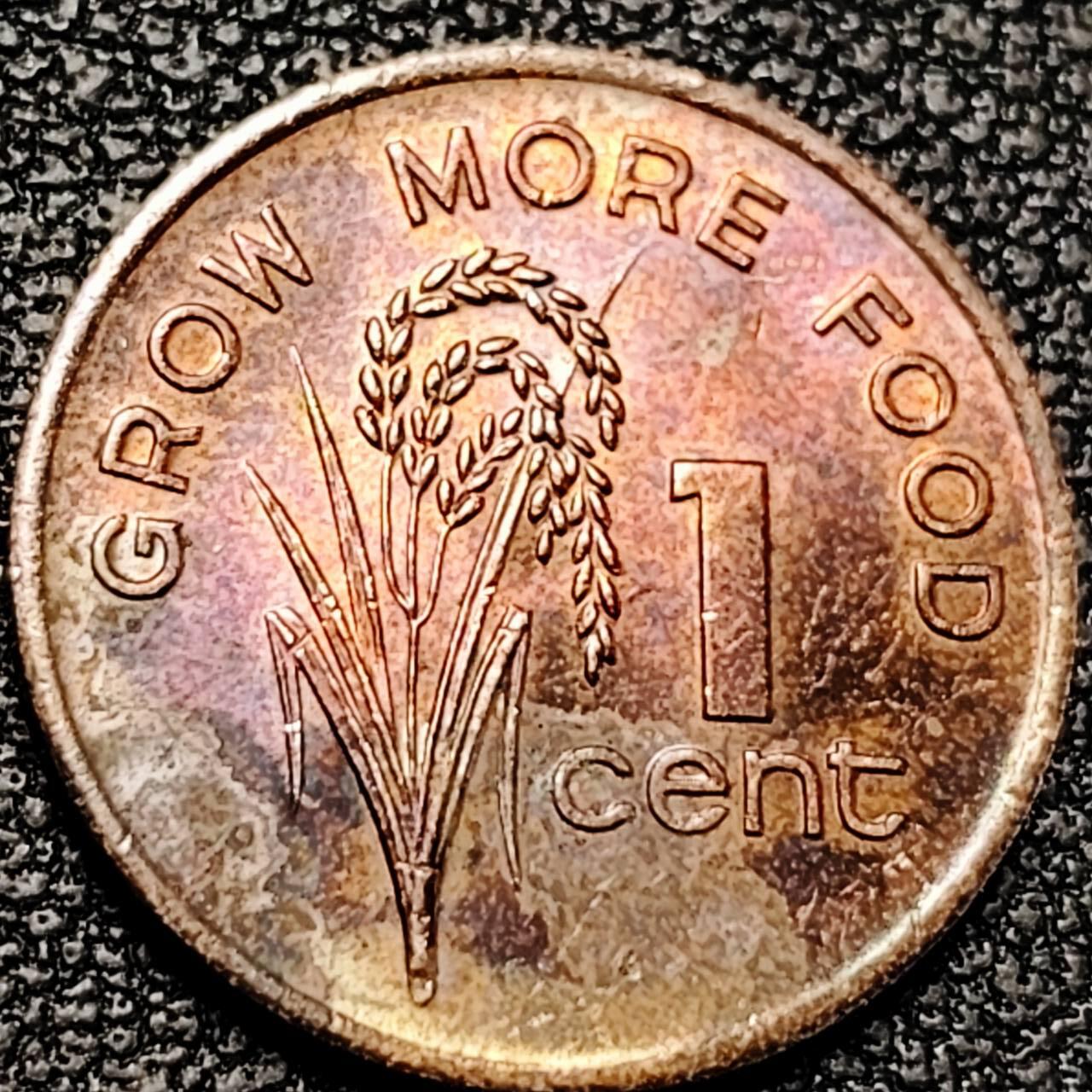 泉币菌-第193场- 新年快乐 新年第一场 本场拍品多 请提前出价 。