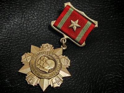 时顺第二十九拍(新年大拍) - 苏联二级优秀服役奖章