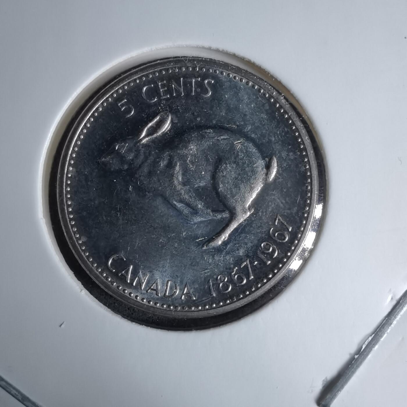 沼泽如烟--第997场