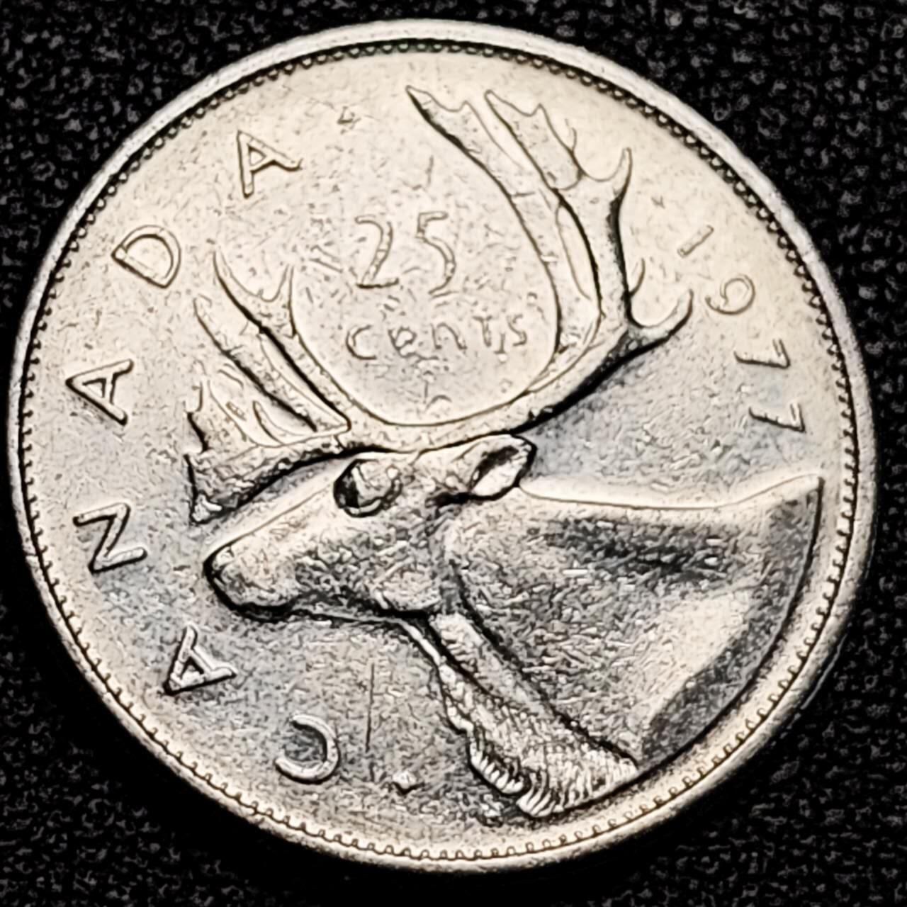 泉币菌-第193场- 新年快乐 新年第一场 本场拍品多 请提前出价 。