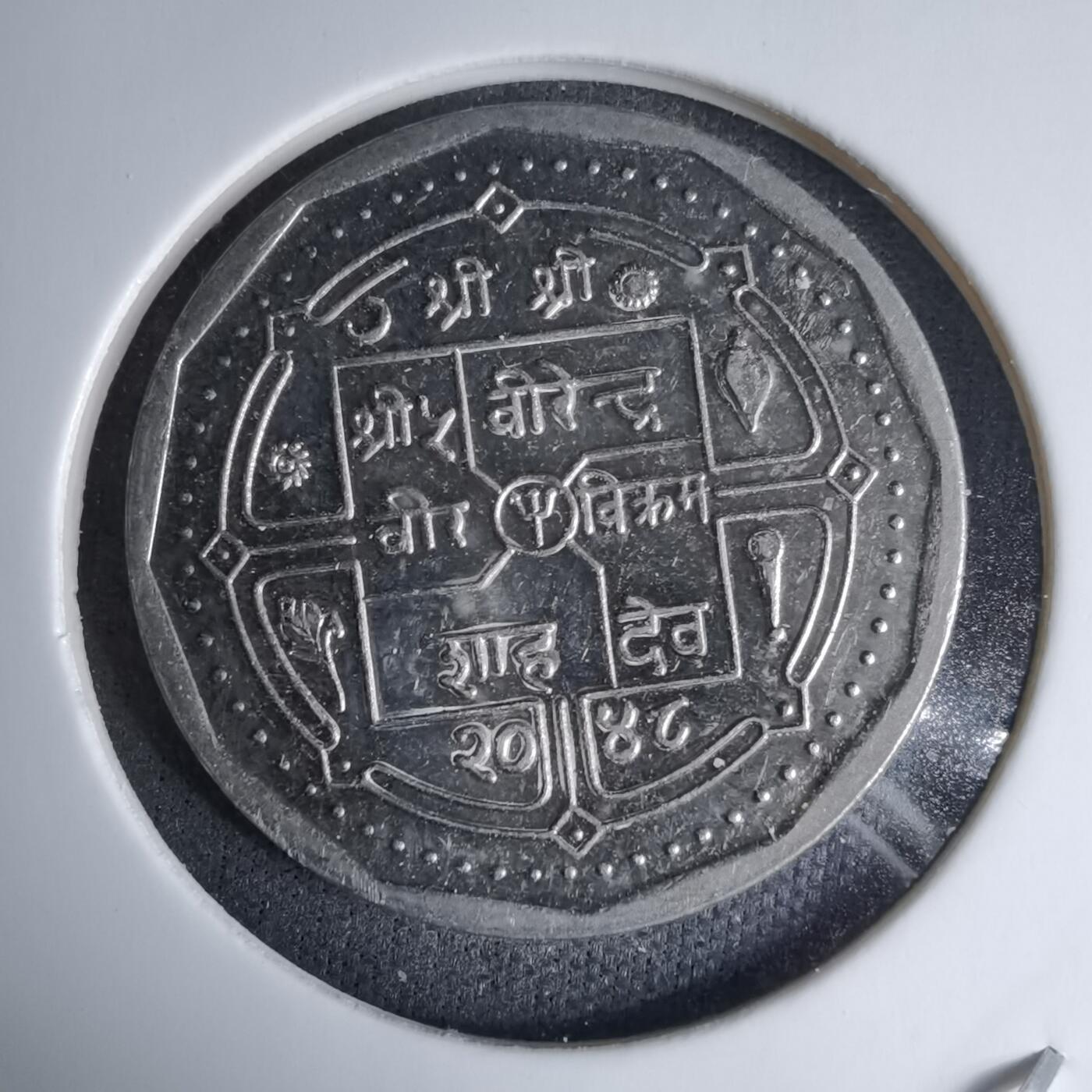 沼泽如烟--第997场