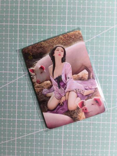 第22期  恭喜发财·万事如意·马年大吉 初五截拍(持续收拍品中…) - 【钻闪】燎原文化《如梦令·十二生肖》亥猪 三渐变