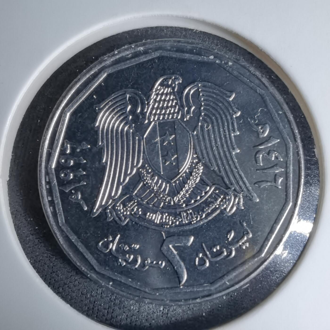 沼泽如烟--第997场