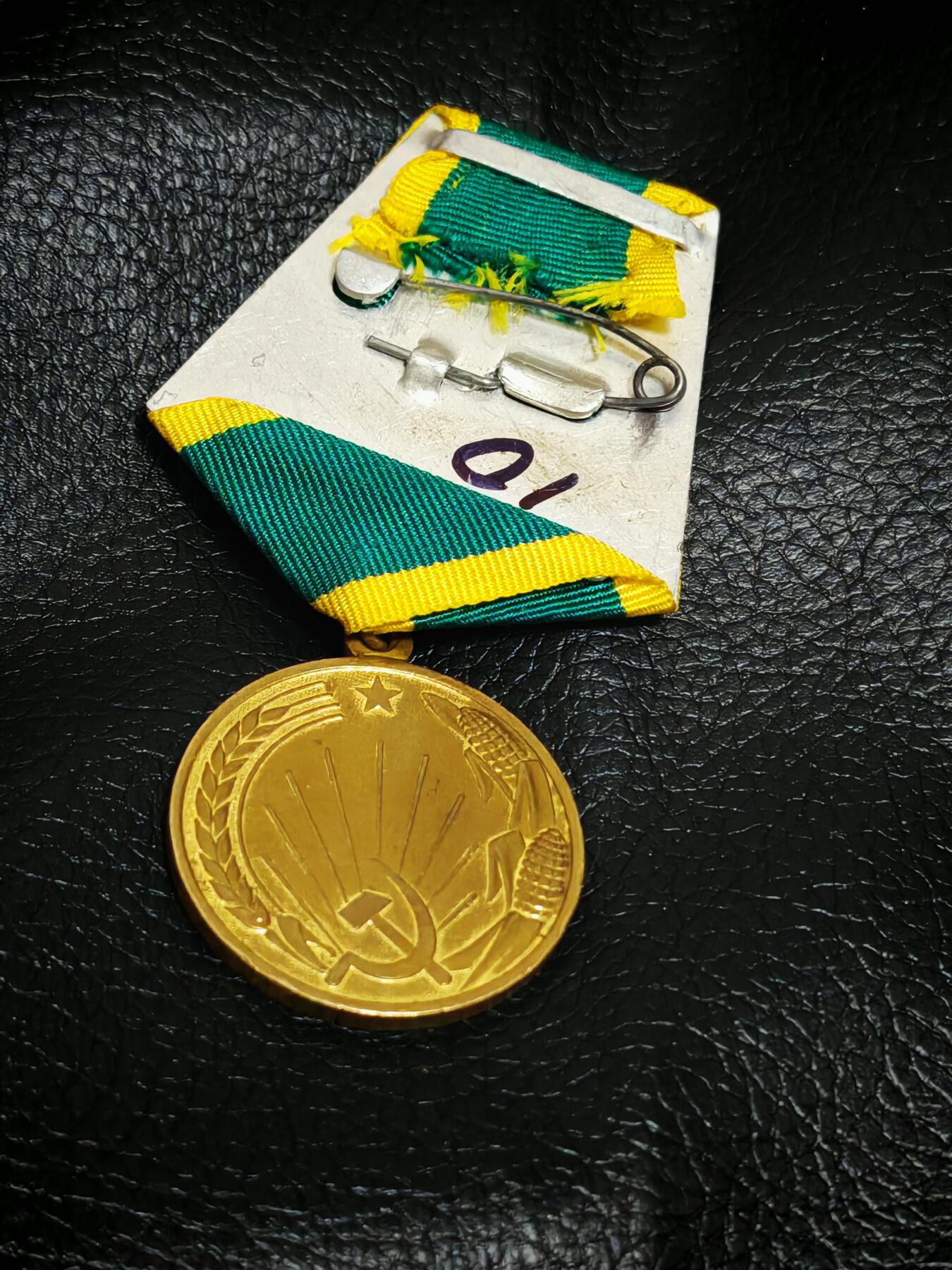 时顺第二十九拍(新年大拍) 苏联开垦处女地奖章