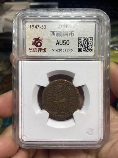 2026年第二十八场(总第一百九十七场）新春初七特拍场(佣金3%最低1元) - 华夏评级AU50–中国西藏1918–1928年1Sho雪岗铜币