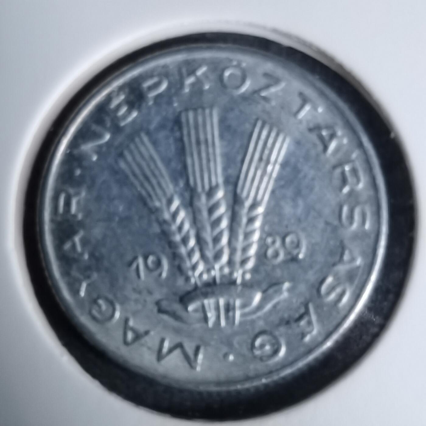 沼泽如烟--第996场