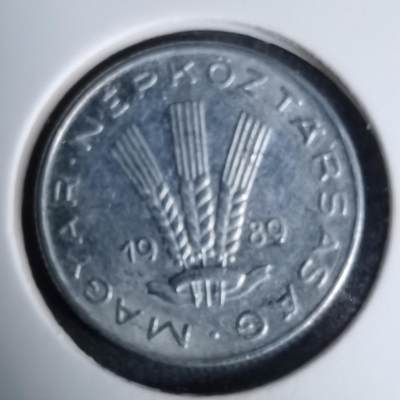 沼泽如烟--第996场 - 匈牙利1989年20菲勒