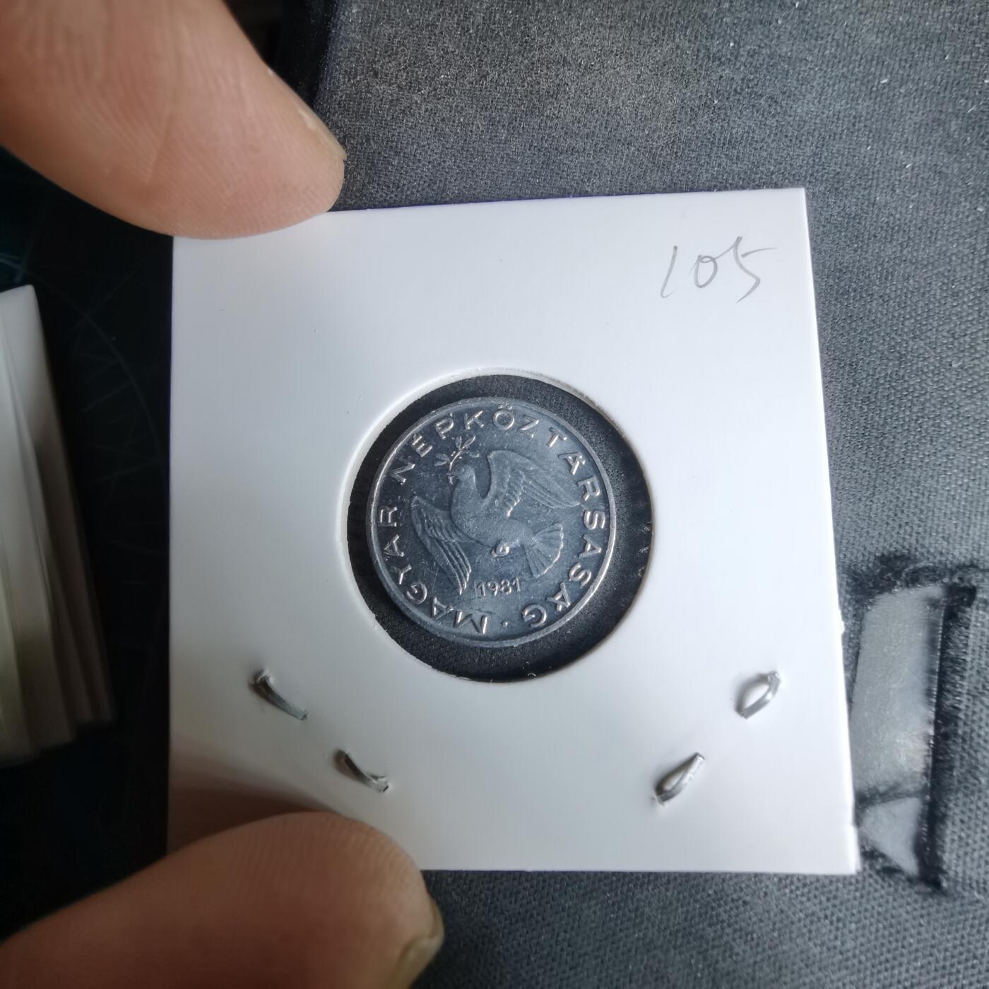 沼泽如烟--第996场