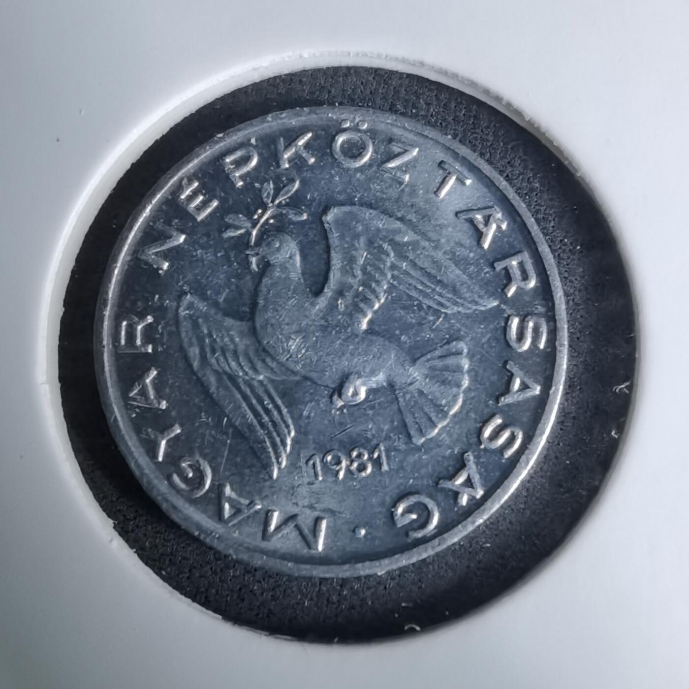 沼泽如烟--第996场