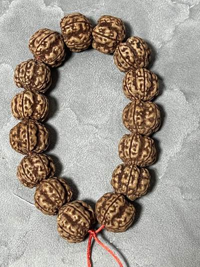 零元拍：超大超肉红皮帝王花金刚菩提手持，22左右 - 零元拍：超大超肉红皮帝王花金刚菩提手持，22左右