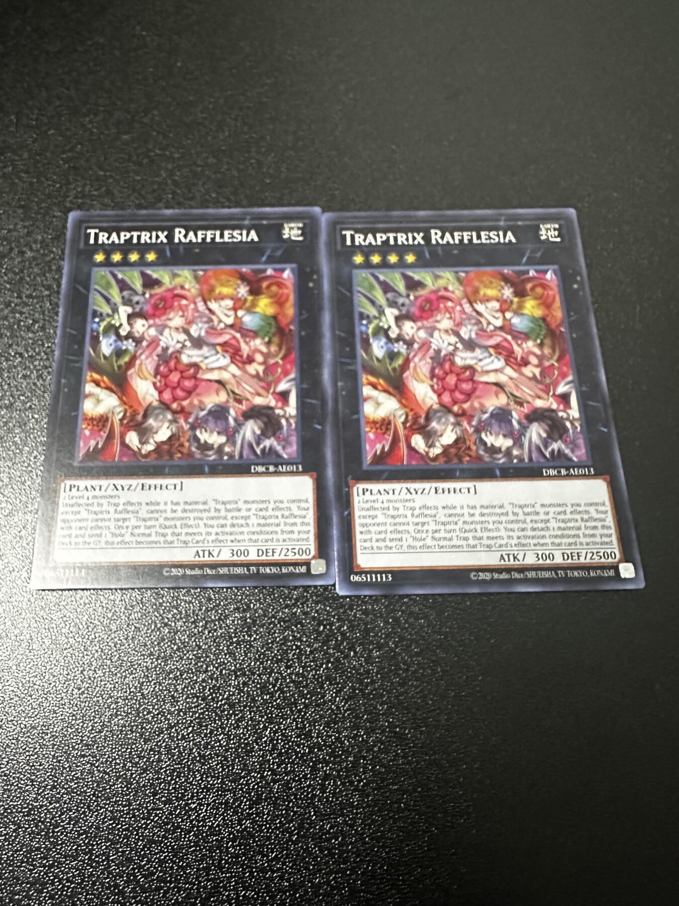 游戏王 影之诗 VG卡牌等 专场卡牌 游戏王卡牌 英文版两张