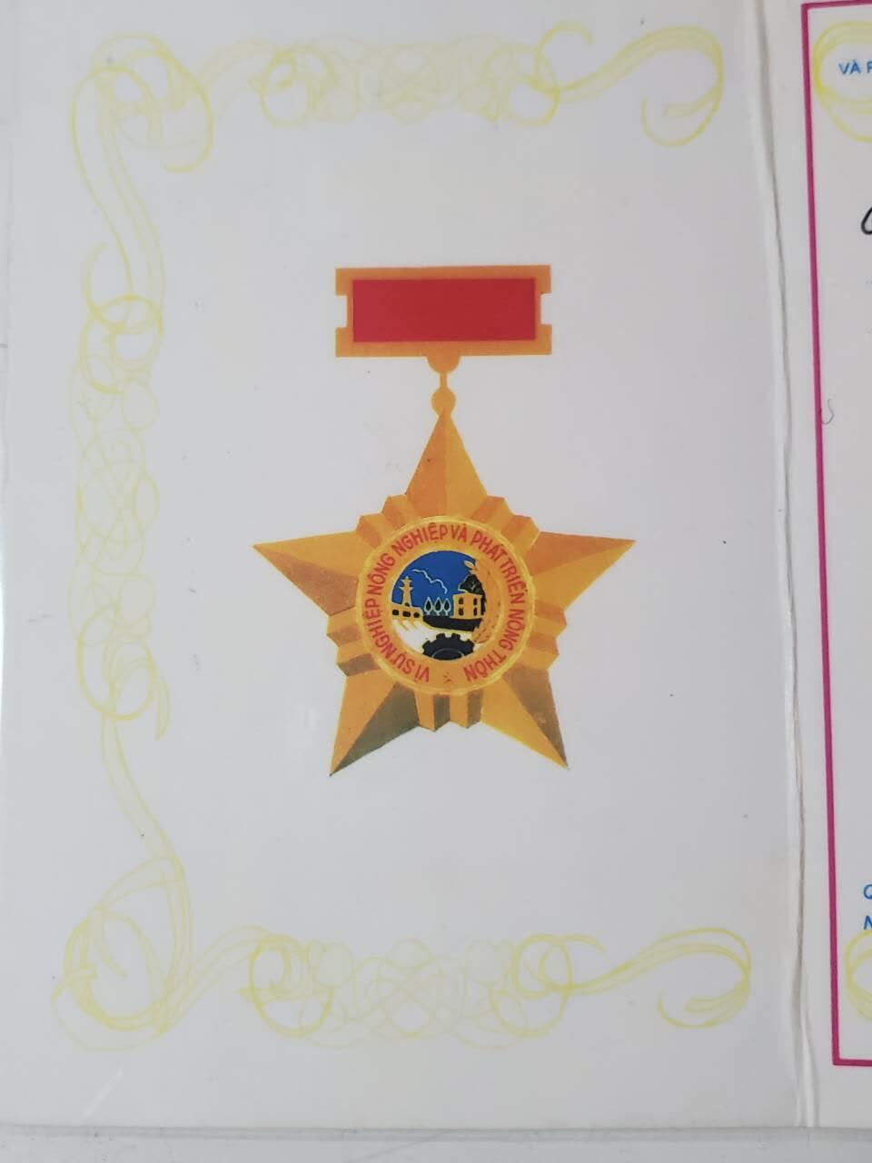 韵星假日军品类拍卖第41期 -- Rimey Holidays Militaria Auction 41 越南阮富桥局长为发展农业和农田事业奖章证书 少见证书