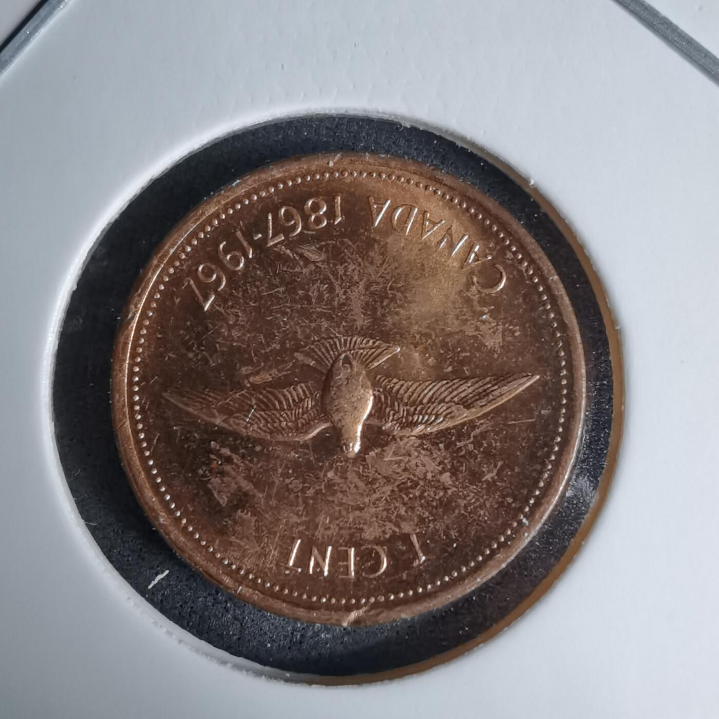 沼泽如烟--第997场