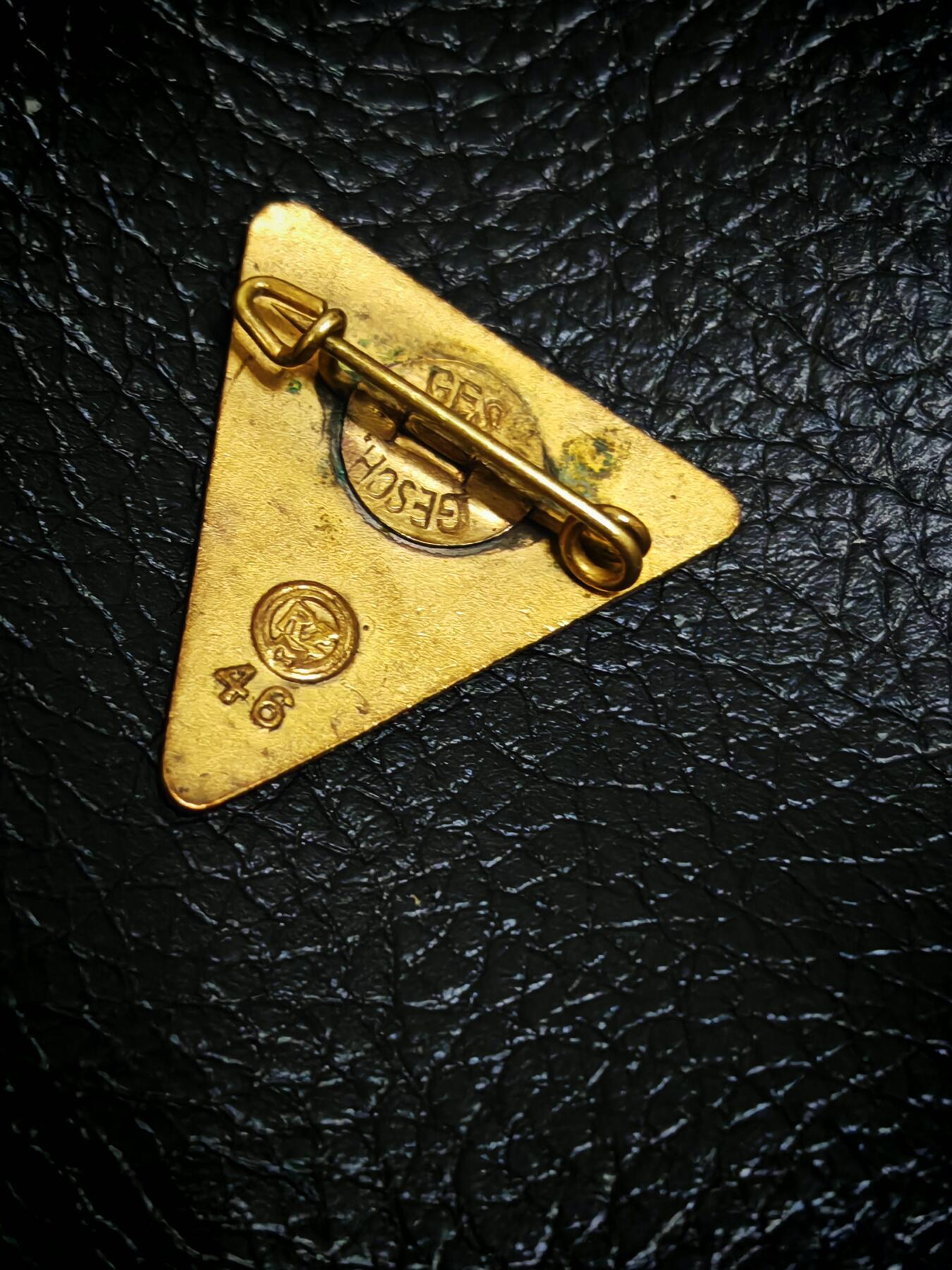 时顺第二十九拍(新年大拍) 二战时期，国家社会主义妇女协会证章（NSF）成员证章，NSF是NASPD唯一一个官方认证的妇女组织，国内非常非常少有，铜制部分珐琅，背打标