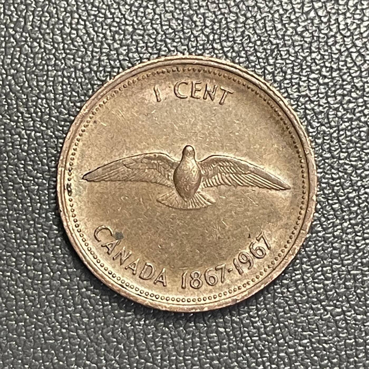 回流0301 加拿大1967年建国100周年纪念币 旅鸽