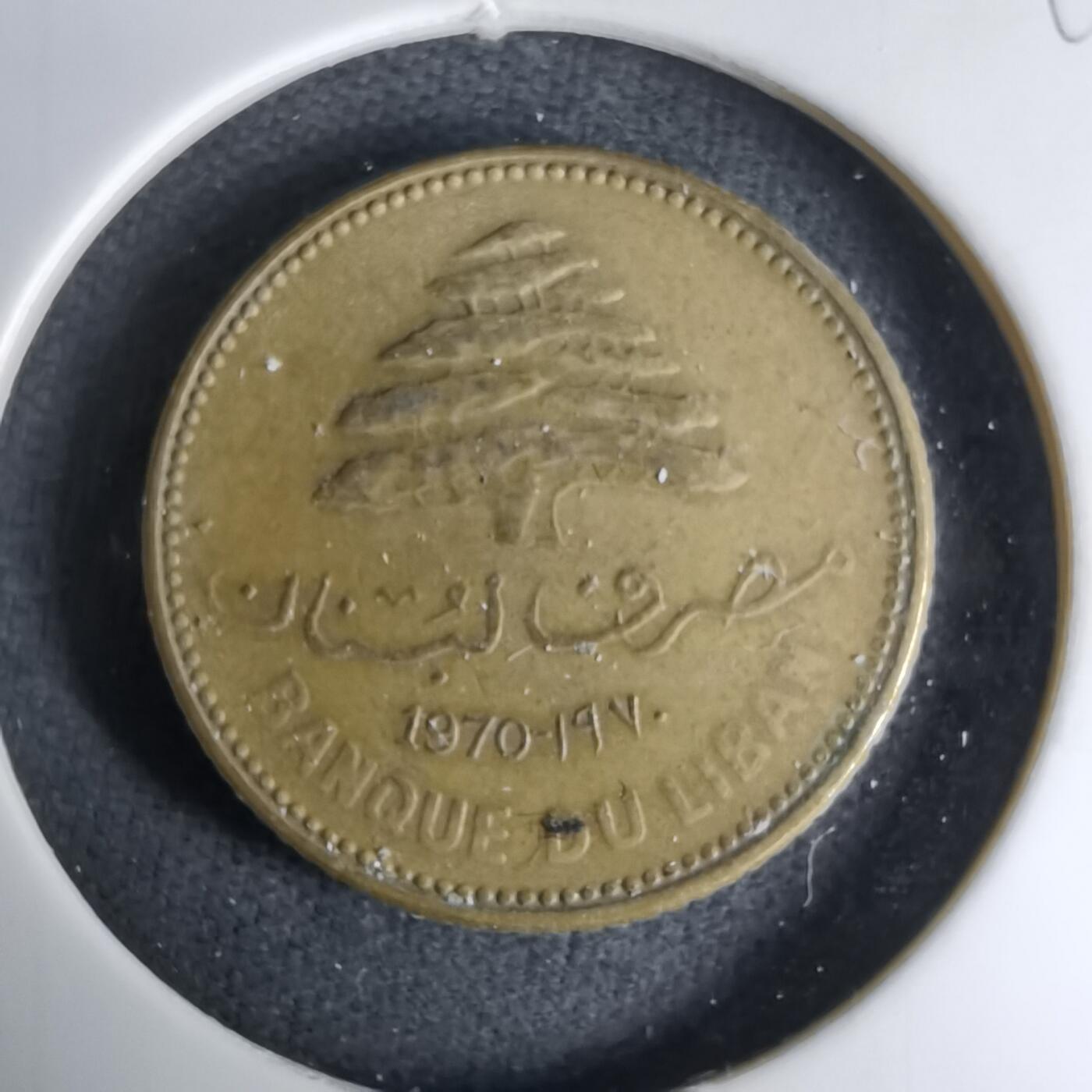 沼泽如烟--第998场