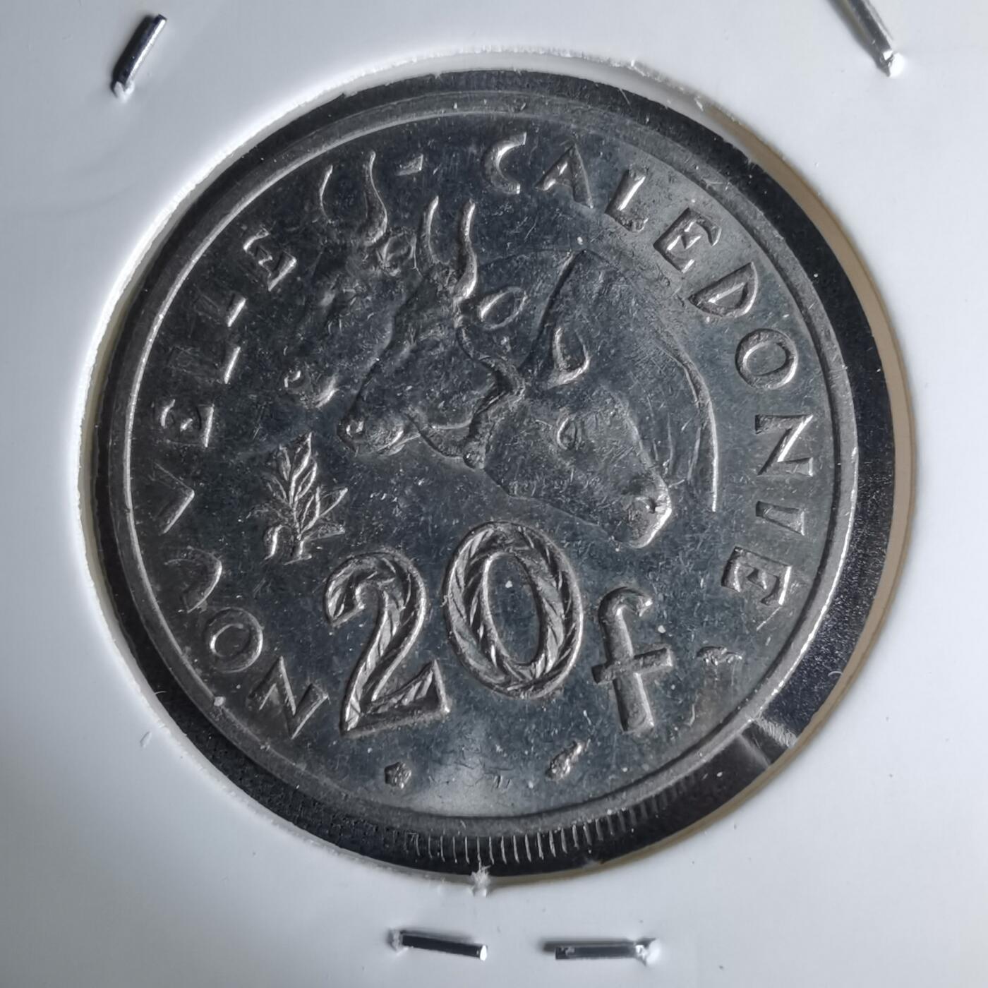 沼泽如烟--第998场