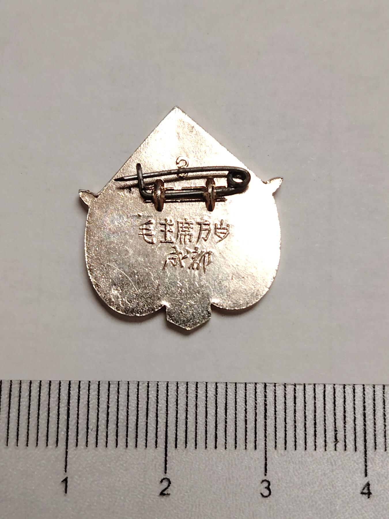 布加迪🐬～世界钱币(上海)🌾第 275 期 /  像章专场 像章～天安门 