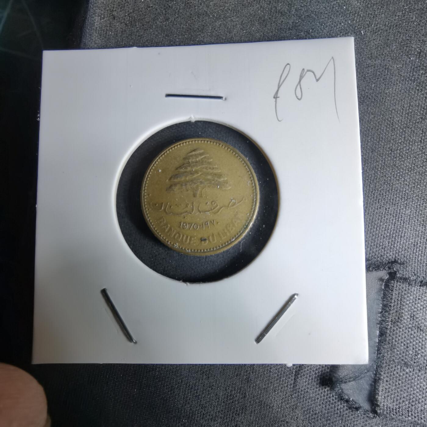 沼泽如烟--第998场