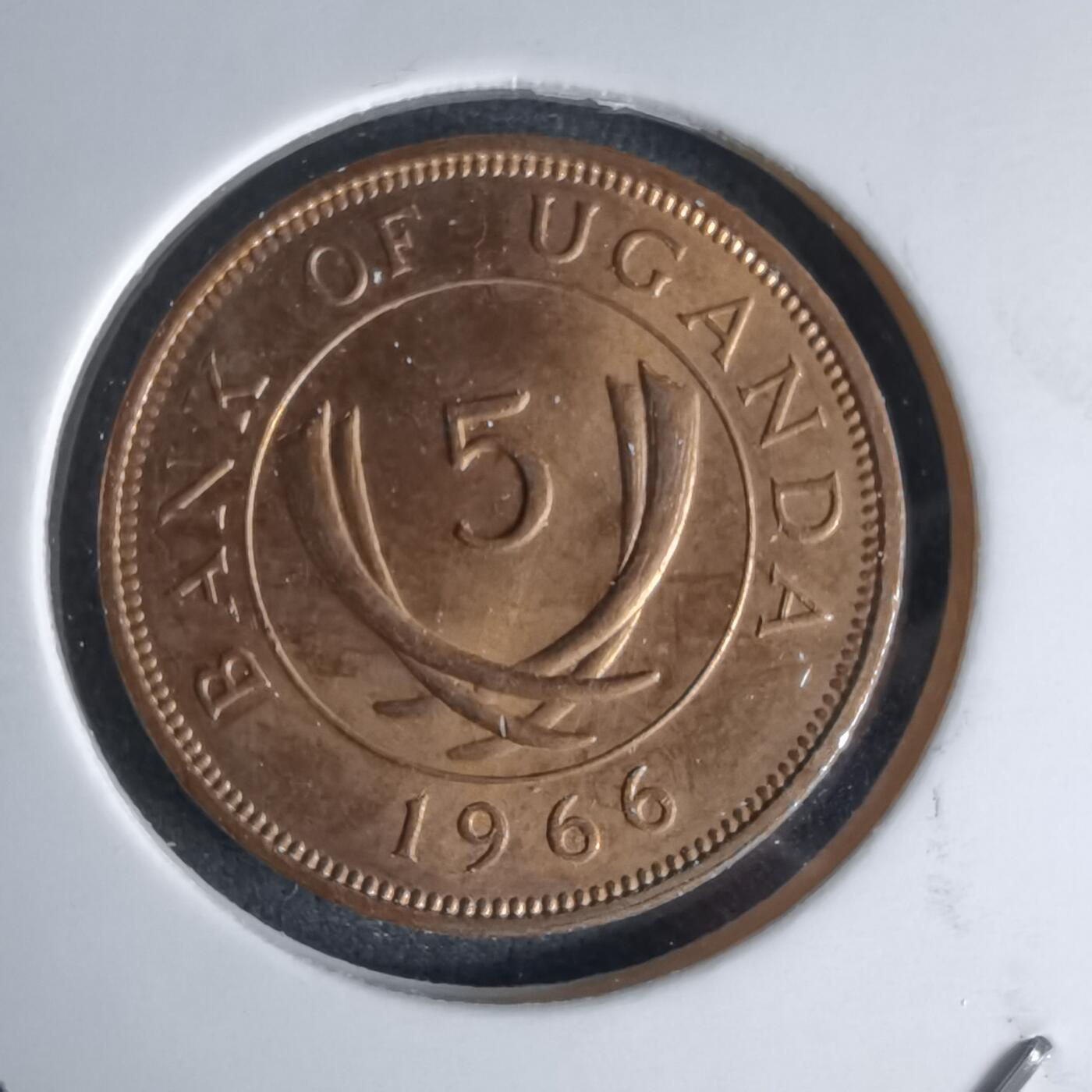 沼泽如烟--第998场