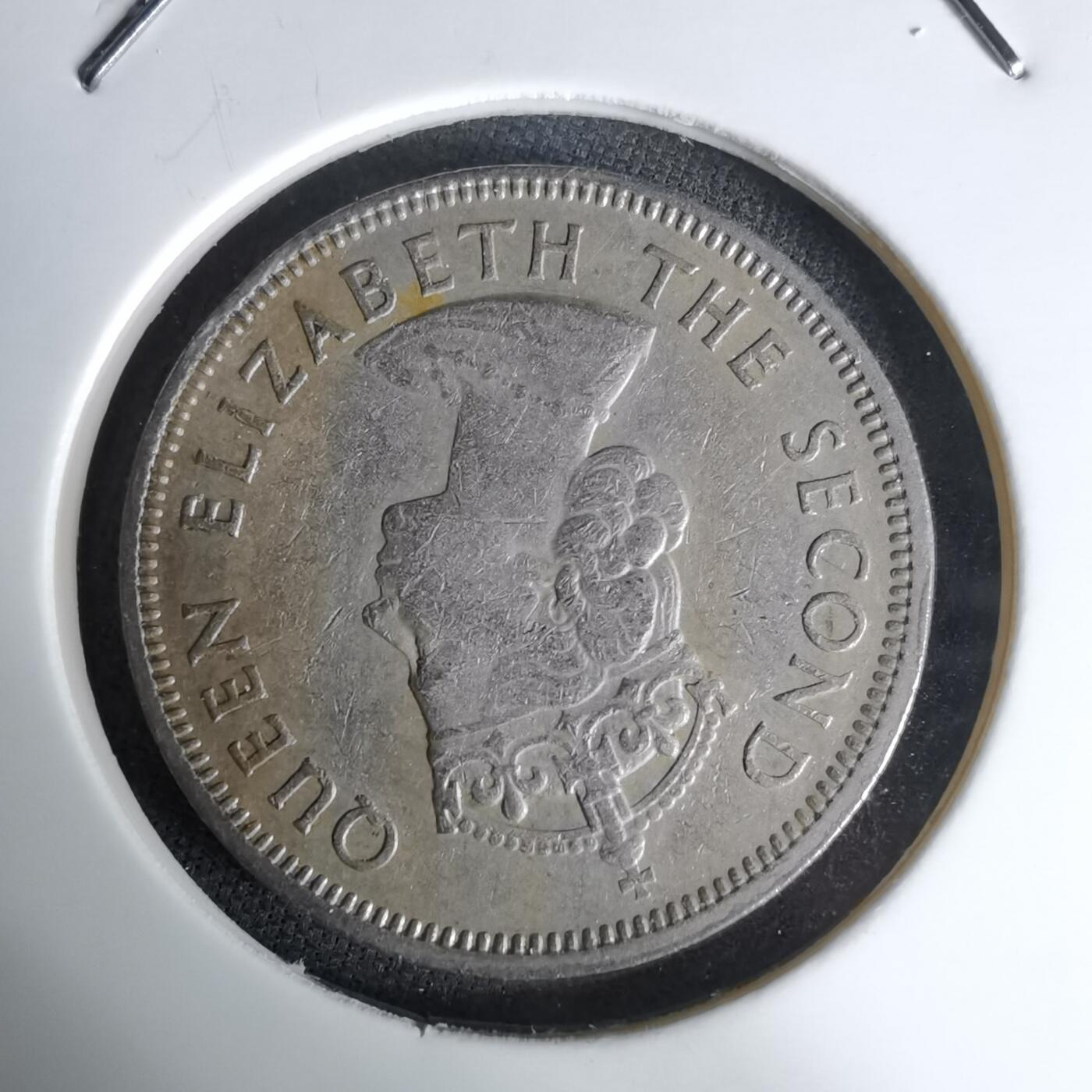 沼泽如烟--第998场