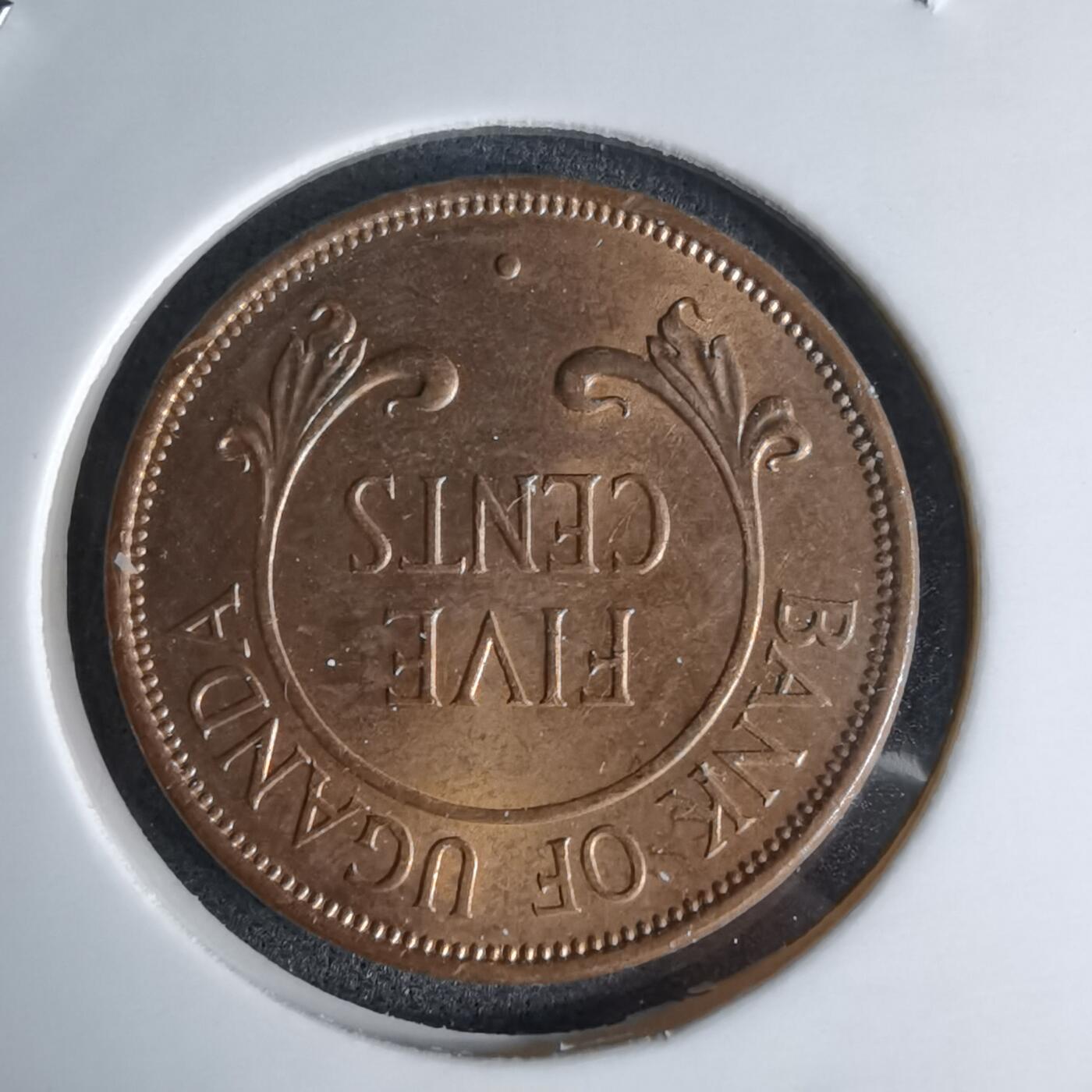 沼泽如烟--第998场