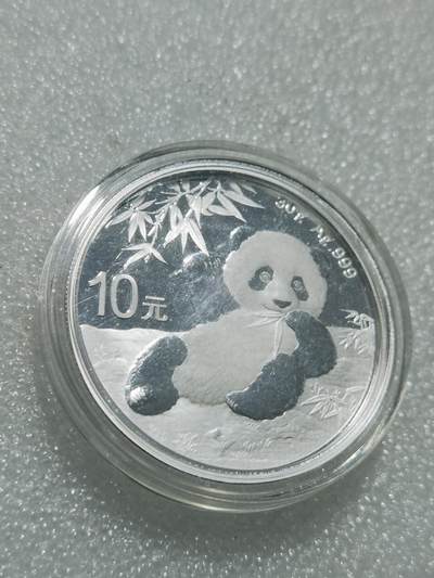 天下钱庄专场欢迎参拍 - 2020熊猫银币