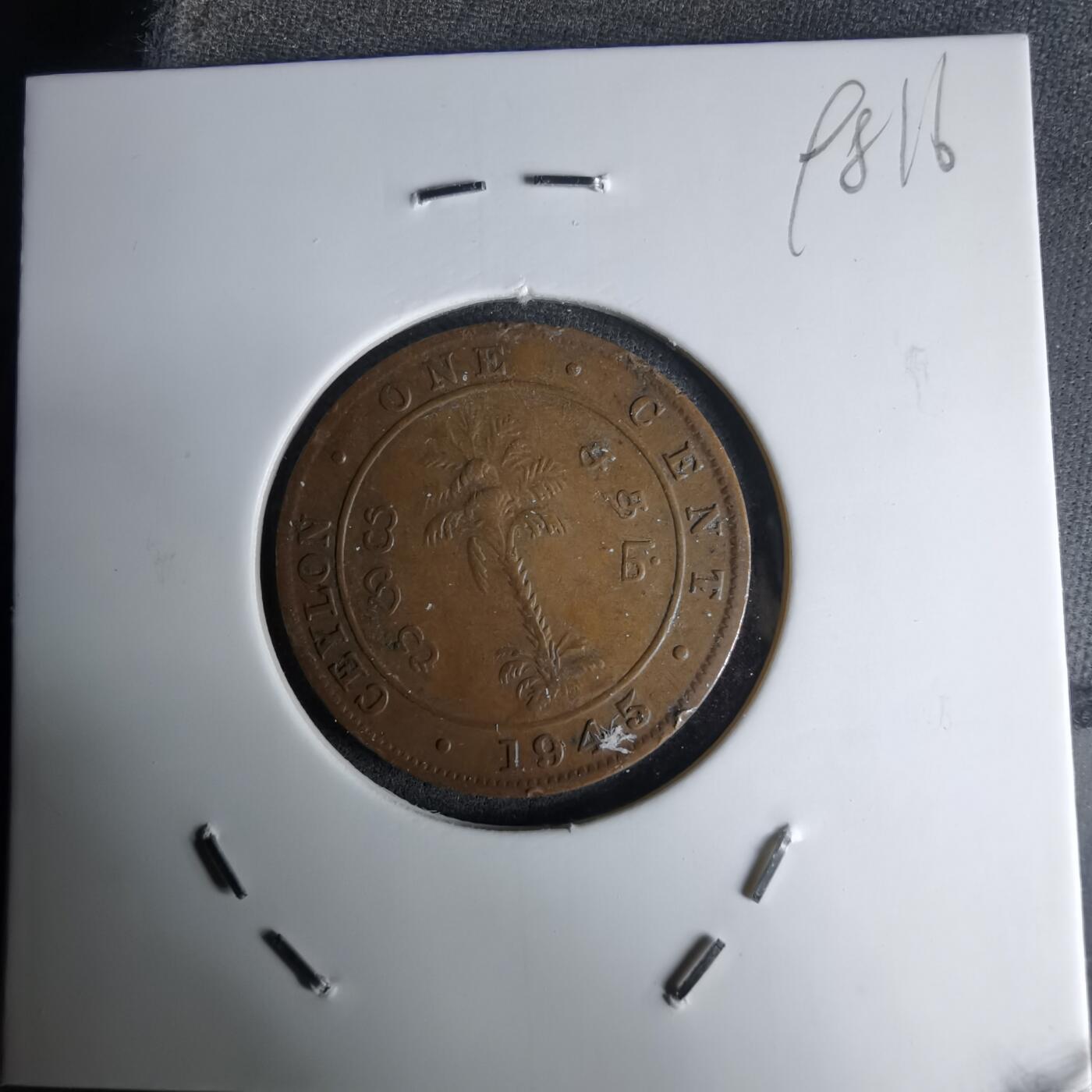 沼泽如烟--第998场