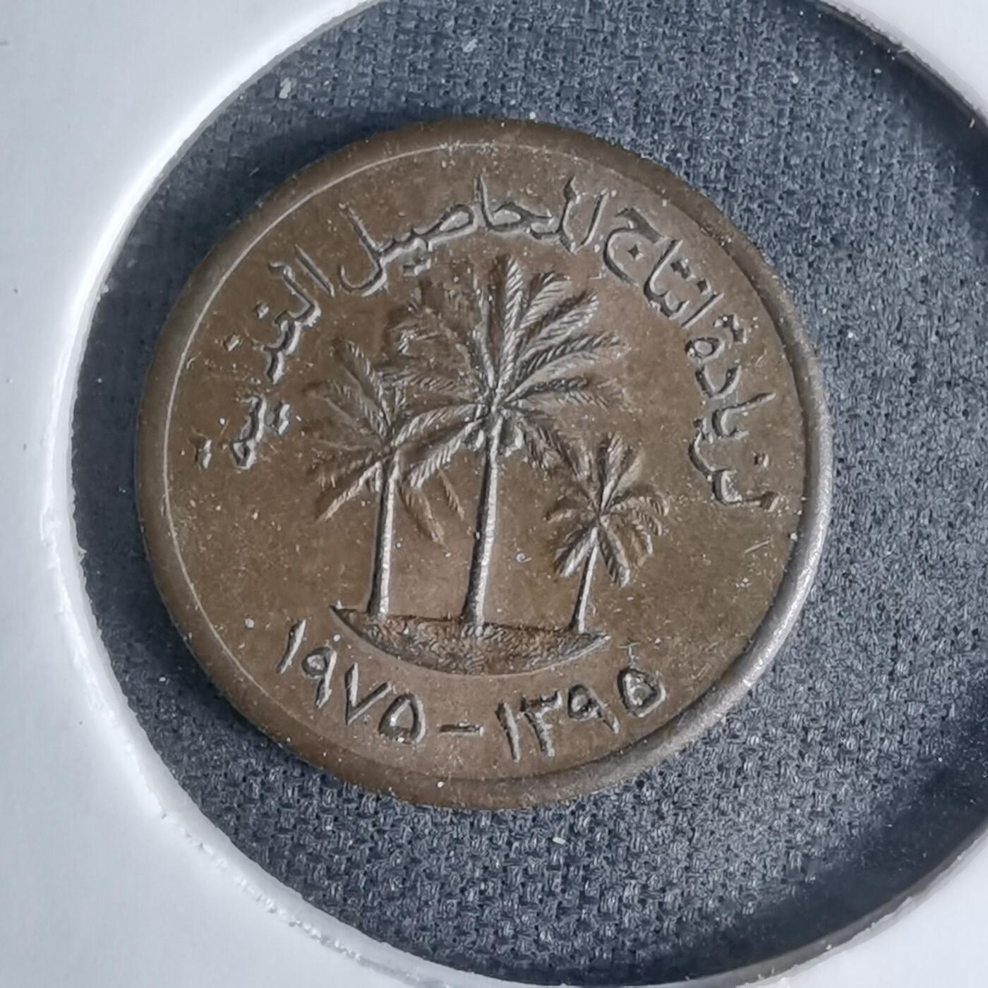 沼泽如烟--第997场 巴林