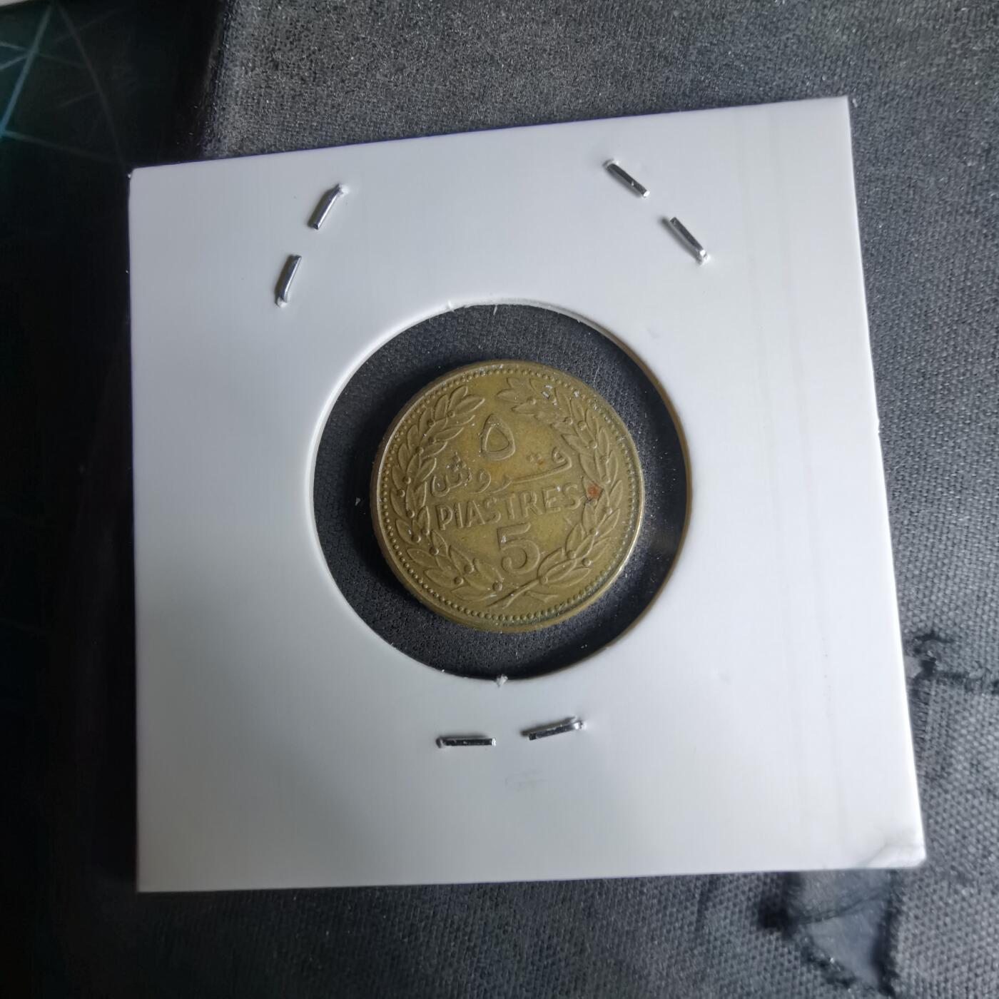 沼泽如烟--第998场