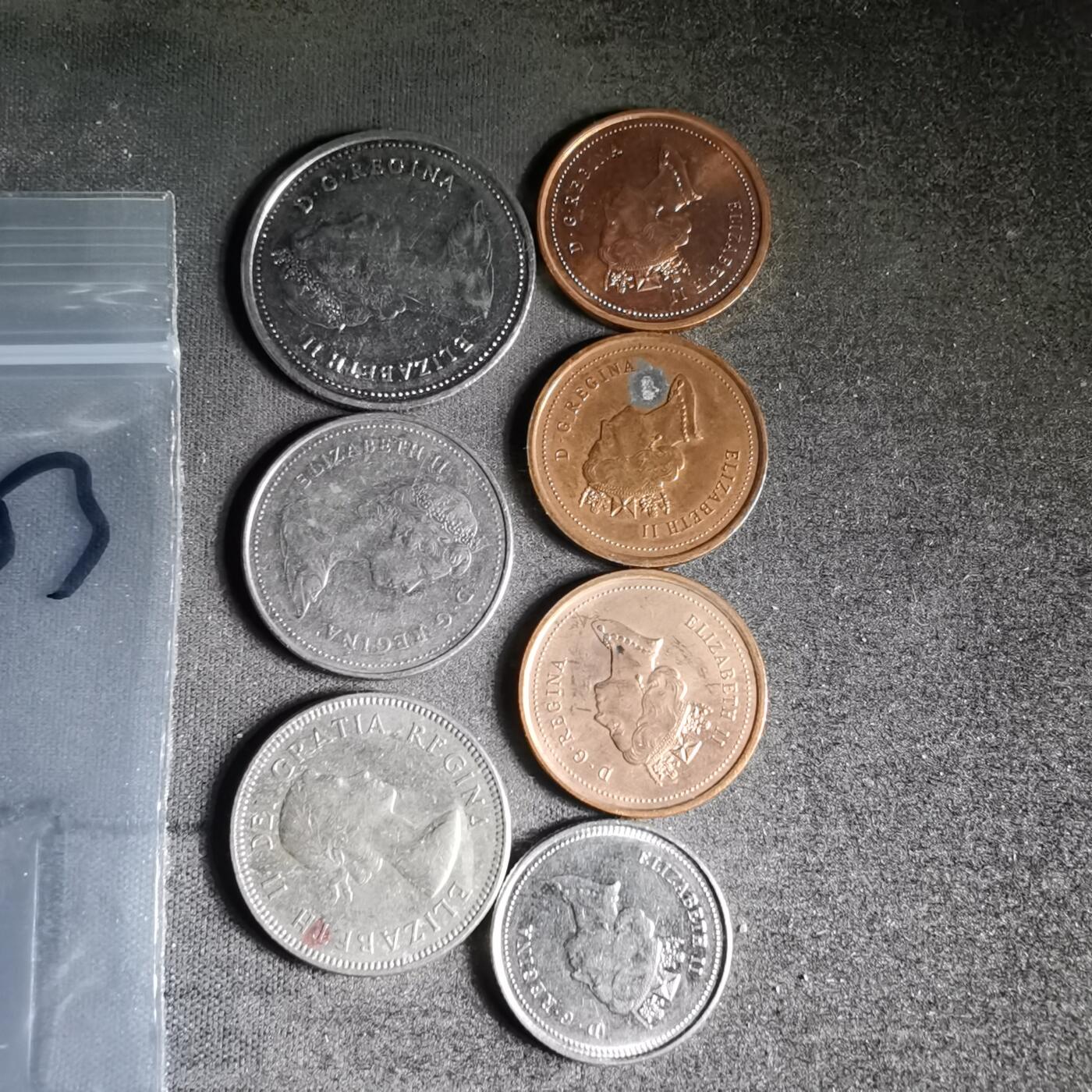 沼泽如烟--第996场 加拿大七枚