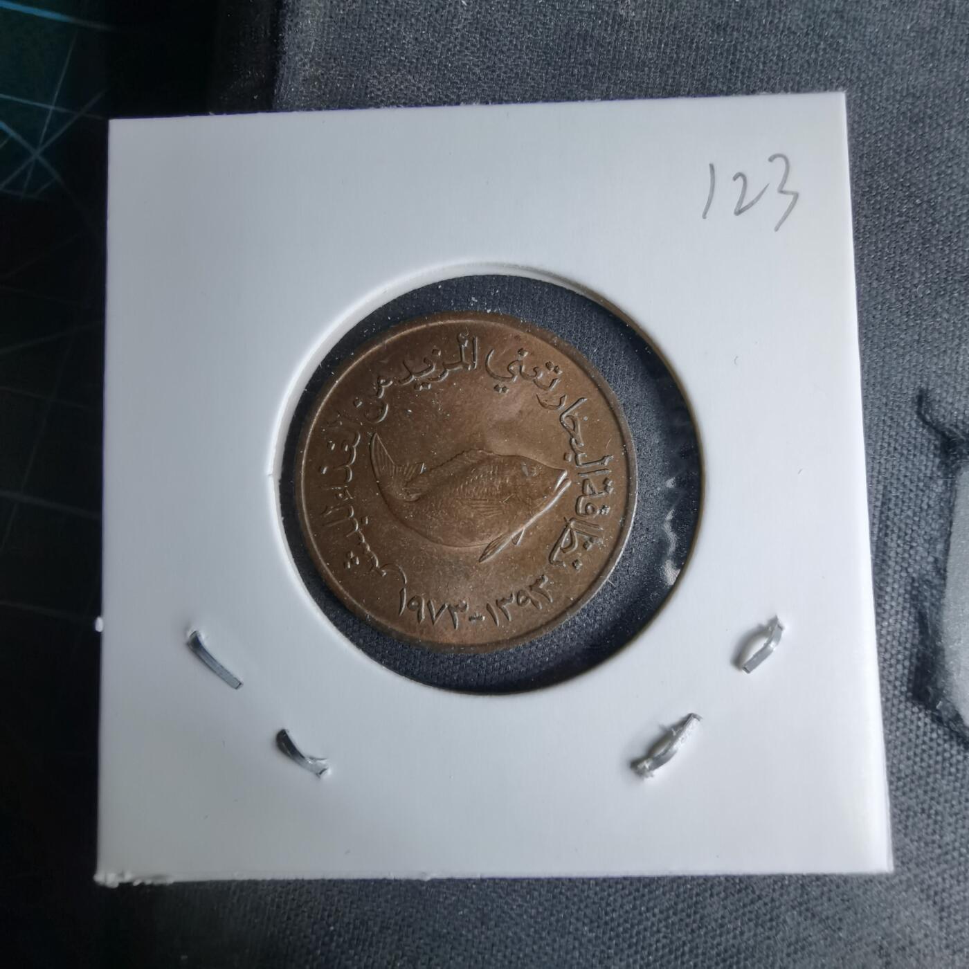 沼泽如烟--第997场