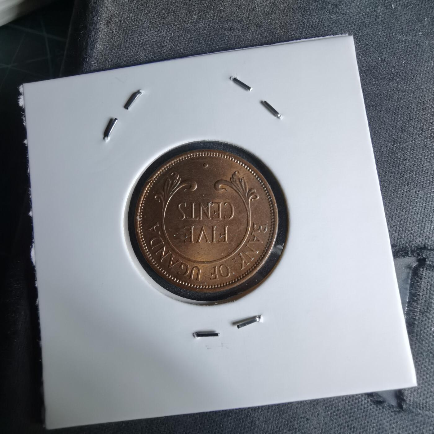 沼泽如烟--第998场