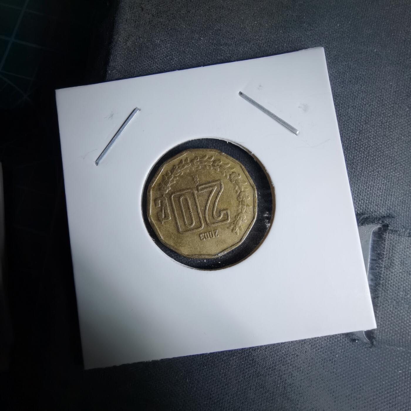 沼泽如烟--第997场