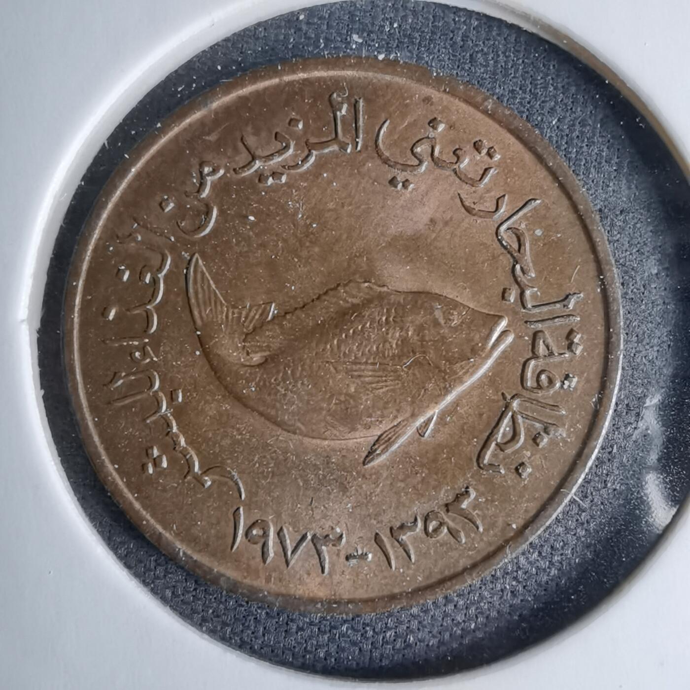 沼泽如烟--第997场