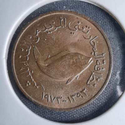 沼泽如烟--第997场 - 阿联酋