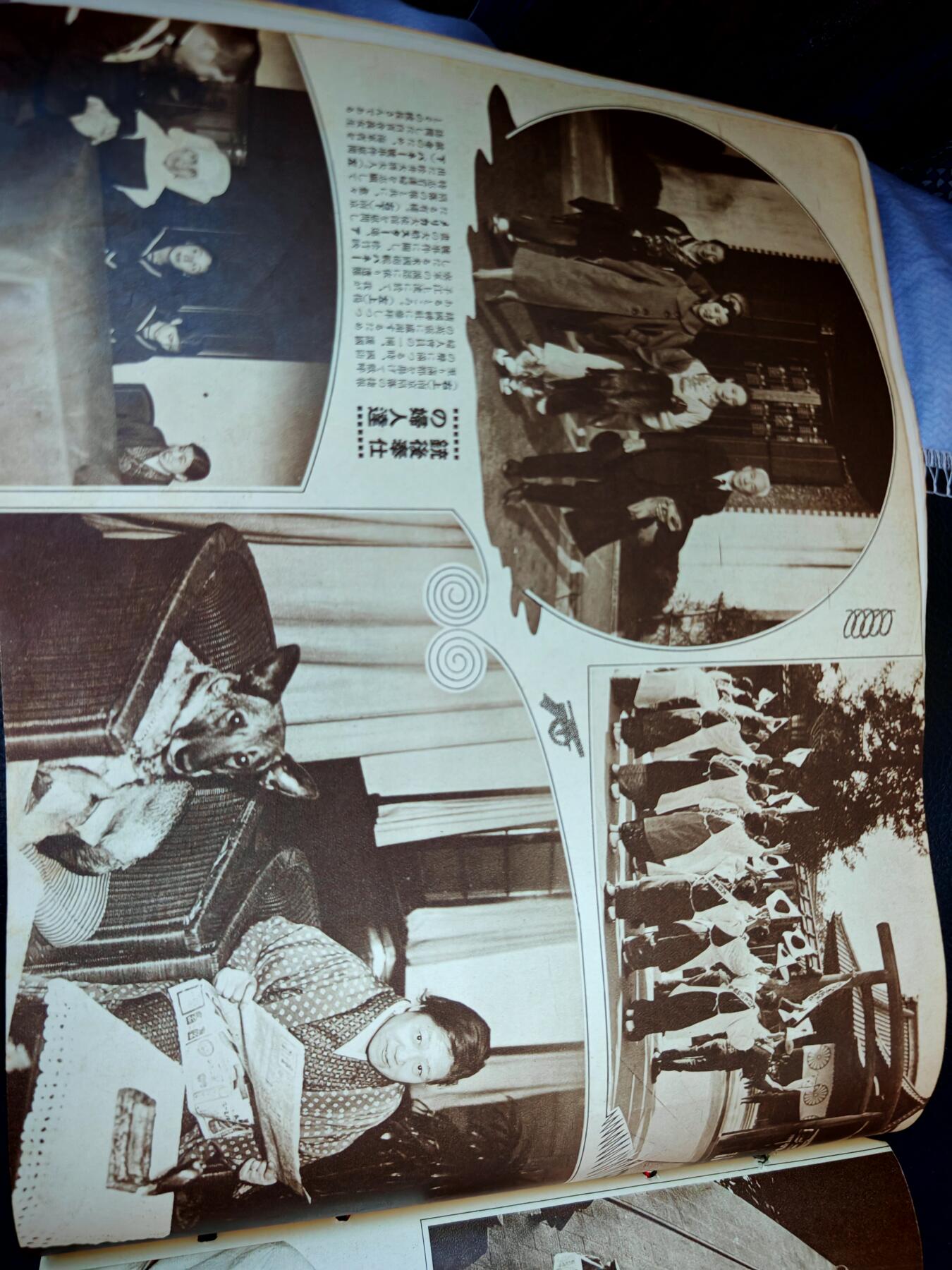 时顺第二十九拍(新年大拍)