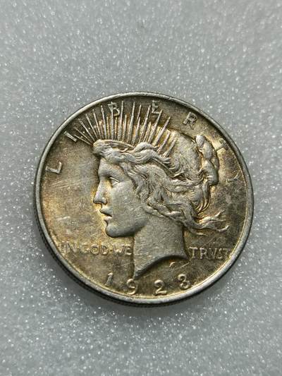 天下钱庄专场欢迎参拍 - 美国和平鸽一美元银币