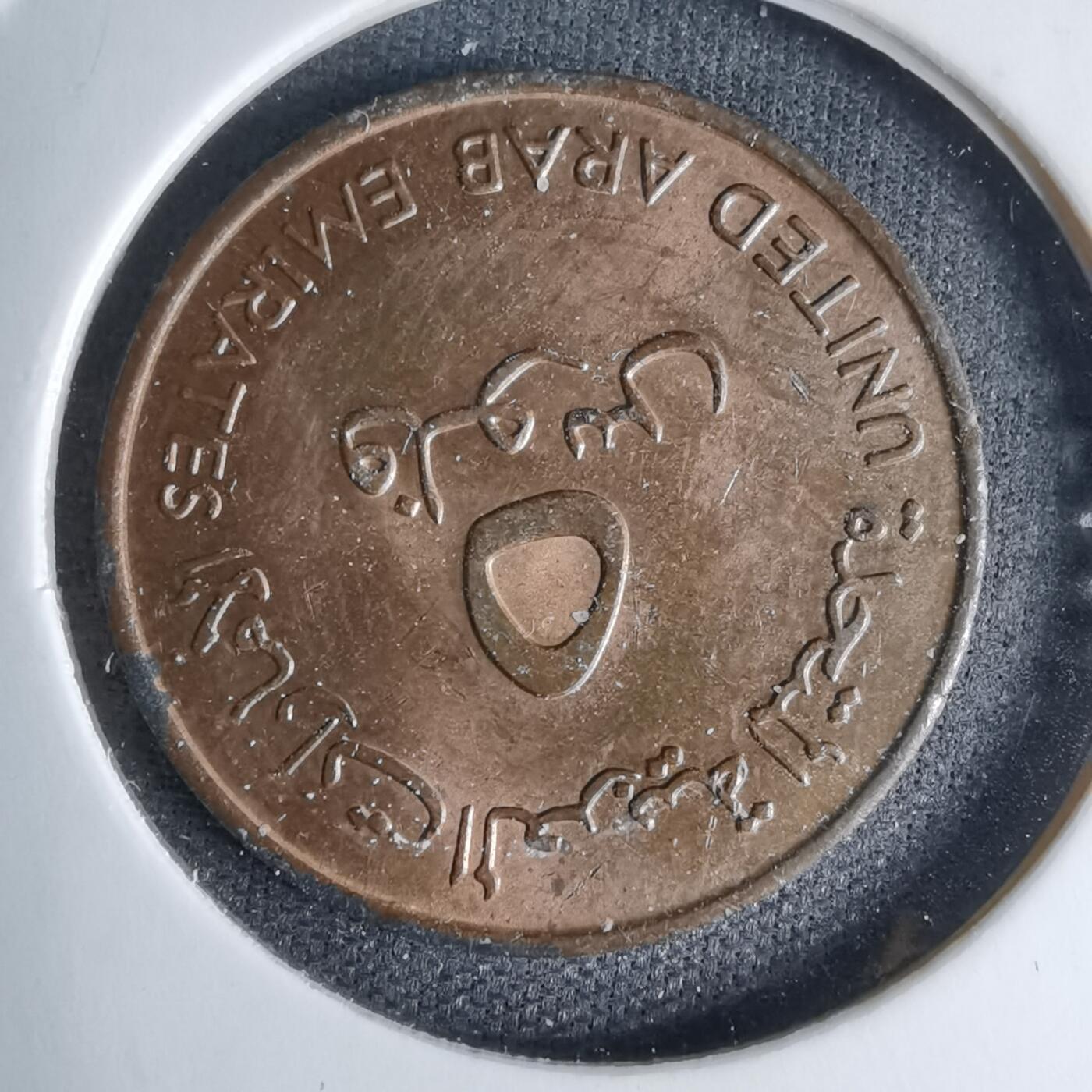 沼泽如烟--第997场