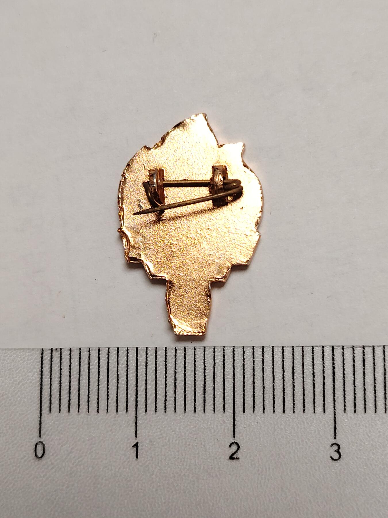 布加迪🐬～世界钱币(上海)🌾第 275 期 /  像章专场 火炬像章～星星之火，可以燎原